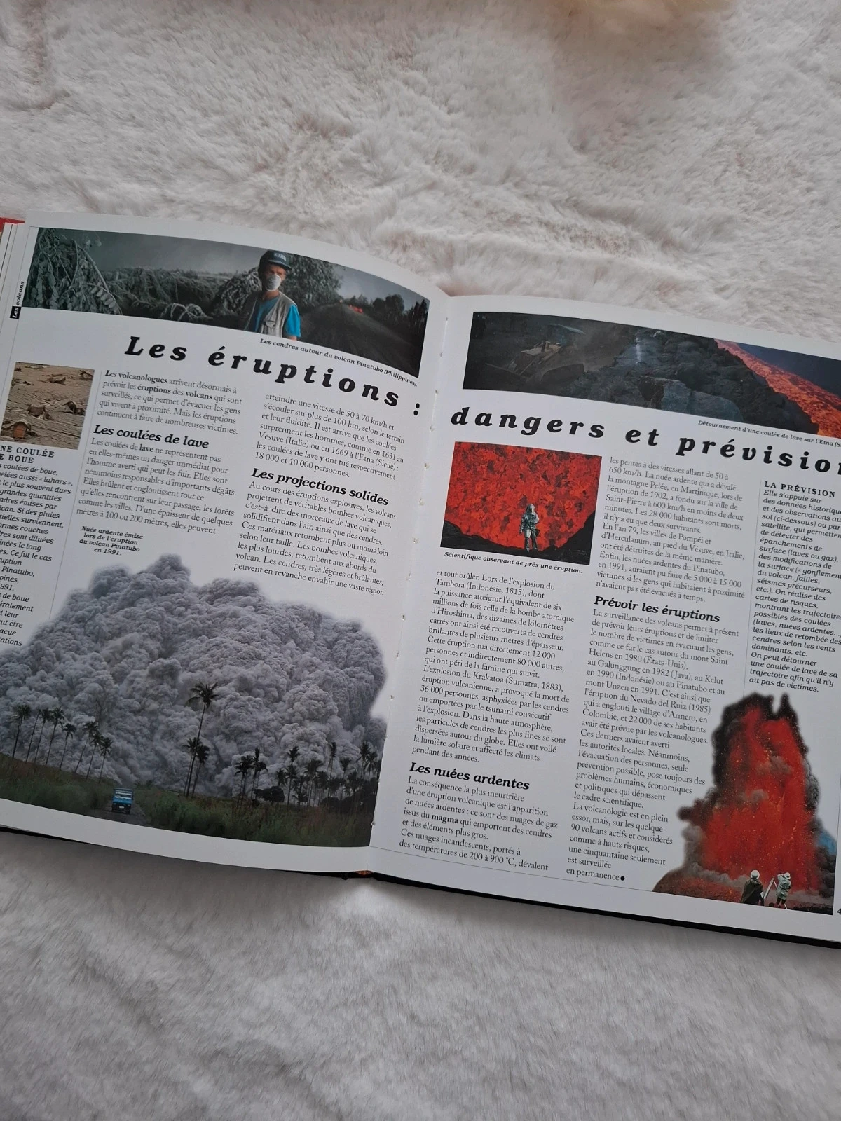 📚 planeta terra a enciclopédia dos jovens Larousse – photo 10